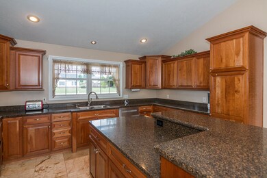 24505Palm-46