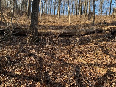 2933 Locust Trail, Jasper, GA 30143 - photo 4