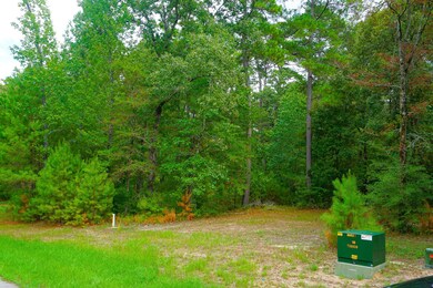 75 N Forest Dr, Huntsville, TX 77340 - photo 4