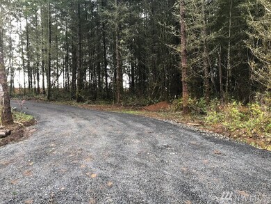 156 Nelson Rd, Winlock, WA 98596 - photo 5