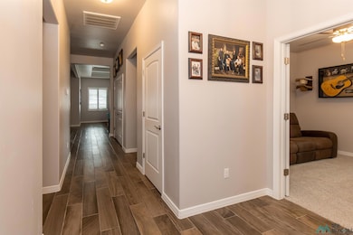 3709 S Sunnyview Ave, Carlsbad, NM 88220 - photo 7