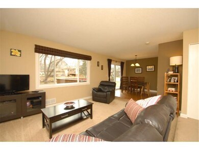 Lots of natural light in the living room