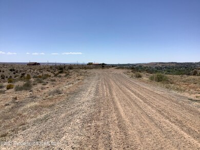 NYA  201 Road 3784, Farmington, NM 87401 - photo 4