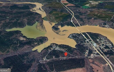 LOT 31C Lbk Rd, Tignall, GA 30668 - photo 6