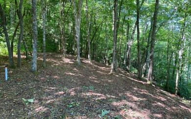 Additional View