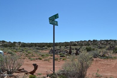 DSC_0381 (800x533)