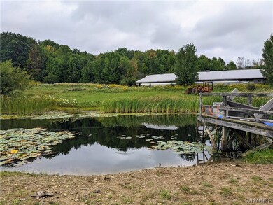 10519 Handcock Rd, Fillmore, NY 14735 - photo 4