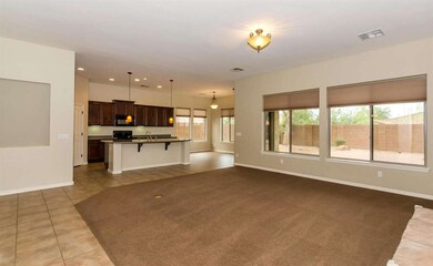 Spacious Family Room & Kitchen