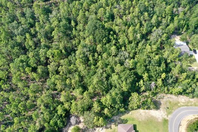 0E77AAE7-6BA0-4194-B92F-30FF4C17DE57_1_2