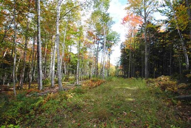 289 Handle Rd, Dover, VT 05356 - photo 2