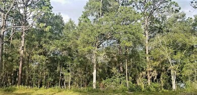 8749 N Upland Dr, Citrus Springs, FL 34434 - photo 2