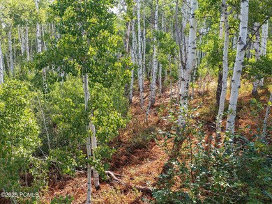 2919 Green Briar Way unit 543, Timber Lakes, UT 84032 - photo 4