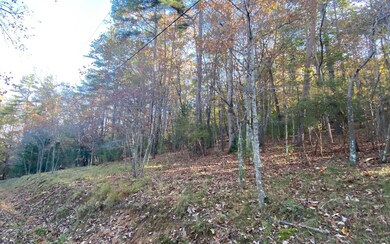 Additional View