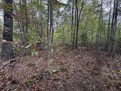 P/O M11 L45a Pease Hill Rd, Anson, ME 04911 - photo 3