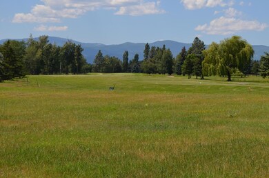 1315 Lake Point Dr, Big Fork, MT 59911 - photo 6