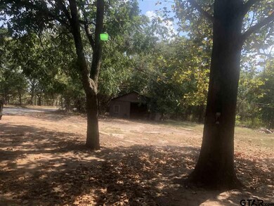 13020 County Road 287, Tyler, TX 75707 - photo 2