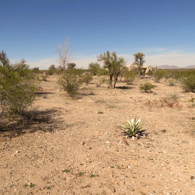 22115 W El Grande Trail unit 10, Wickenburg, AZ 85390 - photo 5