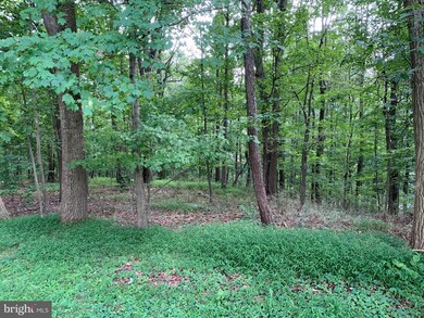 922 Buckhorn Rd, Sykesville, MD 21784 - photo 2