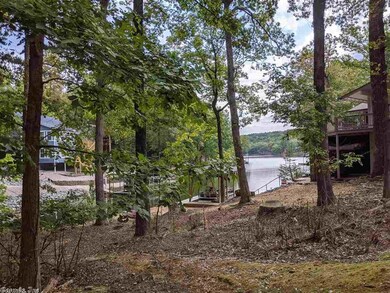 View from house to Lake Desoto