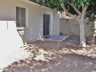 SHADY BACK YARD
