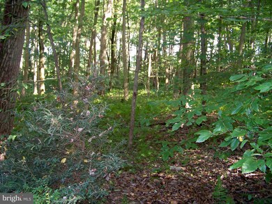 367 Eden Rd, Quarryville, PA 17566 - photo 7