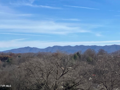 Tbd Methodist Ridge Rd, Telford, TN 37690 - photo 7