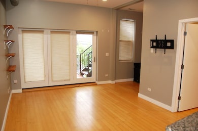 2649 W Haddon Ave unit 2S, Chicago, IL 60622 - photo 7