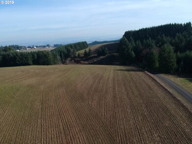 35970 SW Bald Peak Rd, Hillsboro, OR 97123 - photo 3