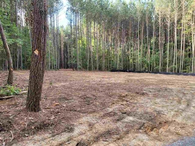 3023 N Carolina 87, Pittsboro, NC 27312 - photo 2