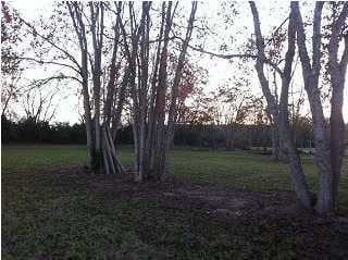 151 Mallet Cove Loop, Eunice, LA 70535 - photo 2