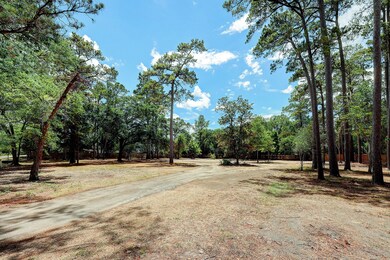 421 Blalock Rd, Houston, TX 77024 - photo 2