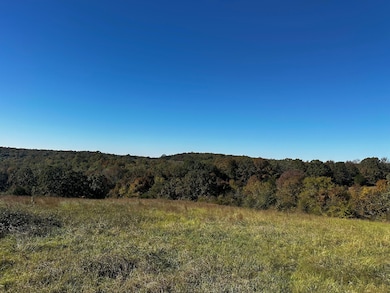 0 Webb Hill Rd, McRae, AR 72102 - photo 5