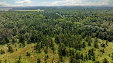 Track B Highway 87, Backus, MN 56435 - photo 2