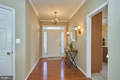 6903 Broadleaf Terrace, Gainesville, VA 20155 - photo 4