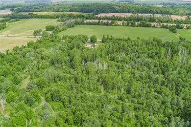 V/L Coleman Rd, Somerset, NY 14012 - photo 6