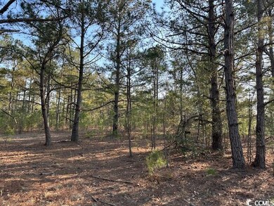 TBD Lot 3 McNabb Short Cut Rd, Loris, SC 29569 - photo 2