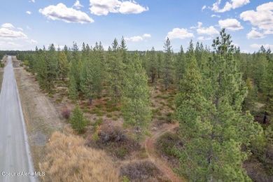 Targhee 5 Acres