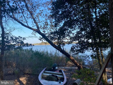 28182 Blueberry Ave, Dagsboro, DE 19939 - photo 4