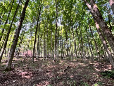 VL Ritter Hollow Rd, New Albion, NY 14719 - photo 7