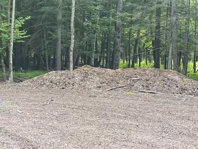 TBD Lot 8 Boulder Brook Rd, Windham, NY 12496 - photo 7