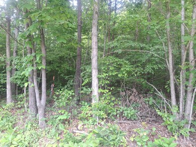 0 Tbd Liberty Rd unit 2, New Canton, VA 23123 - photo 5