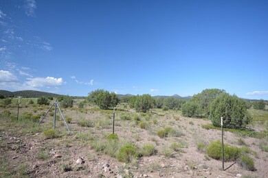 21525 N Ridge View Rd, Paulden, AZ 86334 - photo 4