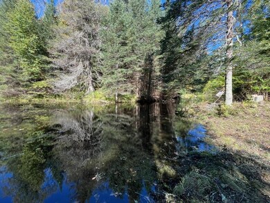 0 Fire Lane Rd, Evergreen, WI 54491 - photo 5