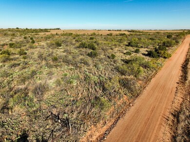 4824 Cr 434, Peacock, TX 79502 - photo 7