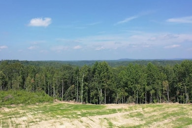 0 Huffman Rd unit 24251649, Sunbright, TN 37872 - photo 2