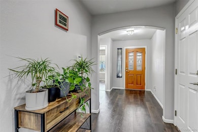 1426 Galilee Ln, Longmont, CO 80504 - photo 5