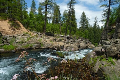 0 Echo Way unit ND25124728, McCloud, CA 96067 - photo 5