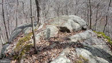 0 Rainbow Way unit 1000431018, Front Royal, VA 22630 - photo 3