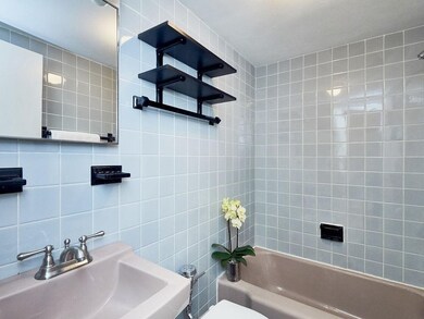 100 Lanark Rd unit 3, Brighton, MA 02135 - photo 6