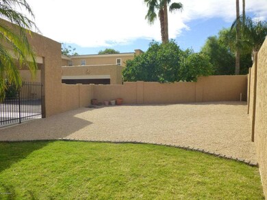 BACKYARD 2